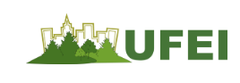 UFEI
